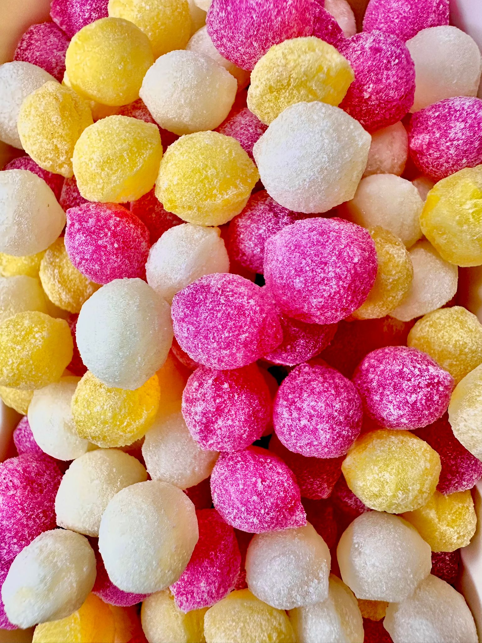 Hard Boiled & Bonbon's